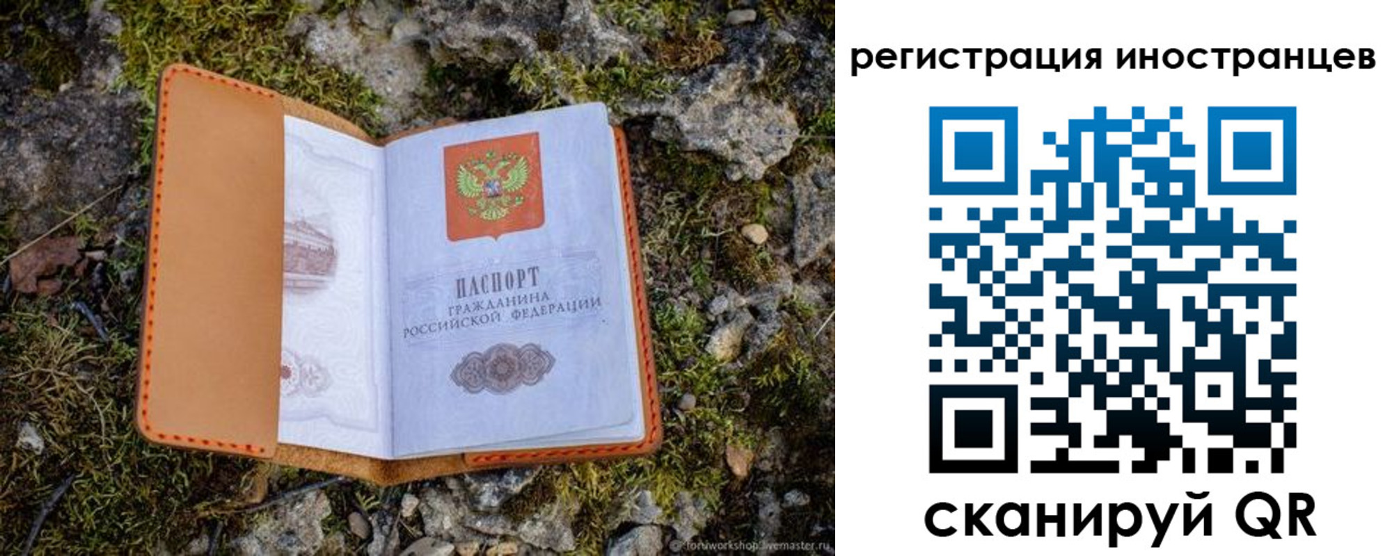 прописка паспорт в Петрозаводске